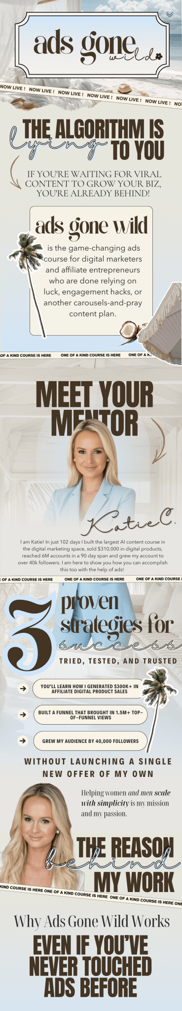 Ads Gone Wild™: Learn How to Run High - Converting Ads Without Tech Stress Inkstagram StudioAds Gone Wild™: Learn How to Run High - Converting Ads Without Tech StressAds Gone Wild™: Learn How to Run High - Converting Ads Without Tech Stress